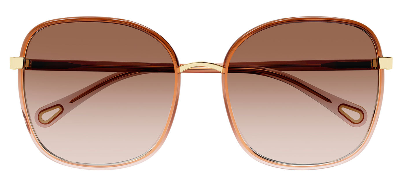 Chloe CH0031S Sunglasses - Brown / Brown