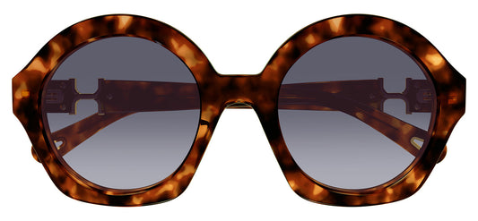 Chloe CH0302S Sunglasses - Havana / Violet