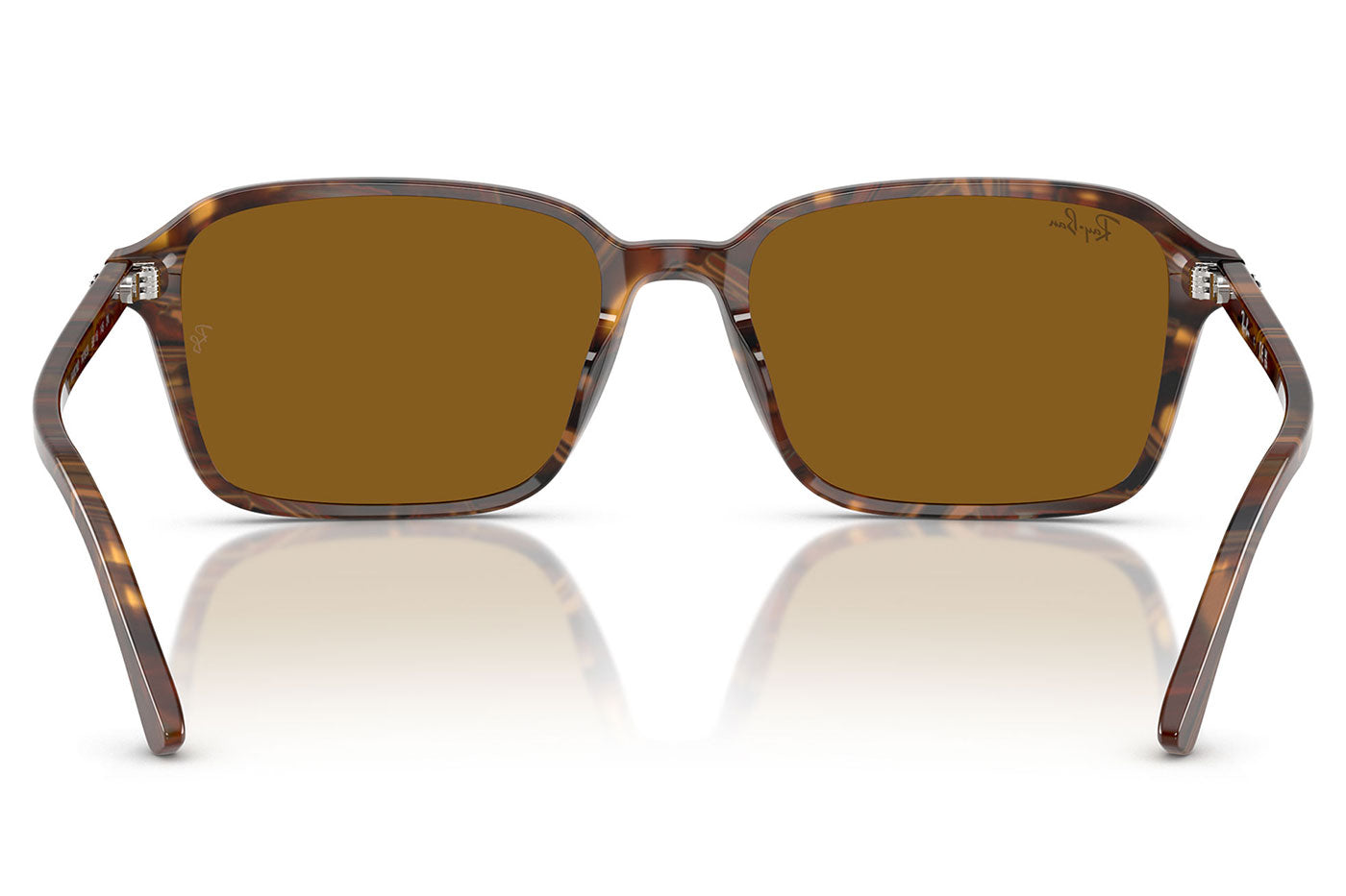 Ray-Ban RB2231 Raimond Sunglasses - Transparent Fantasy Brown / Brown