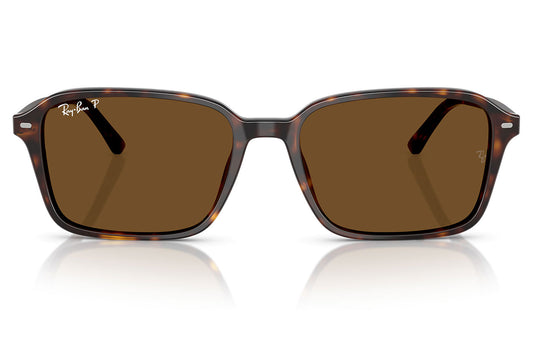 Ray-Ban RB2231 Raimond Sunglasses - Havana / Brown