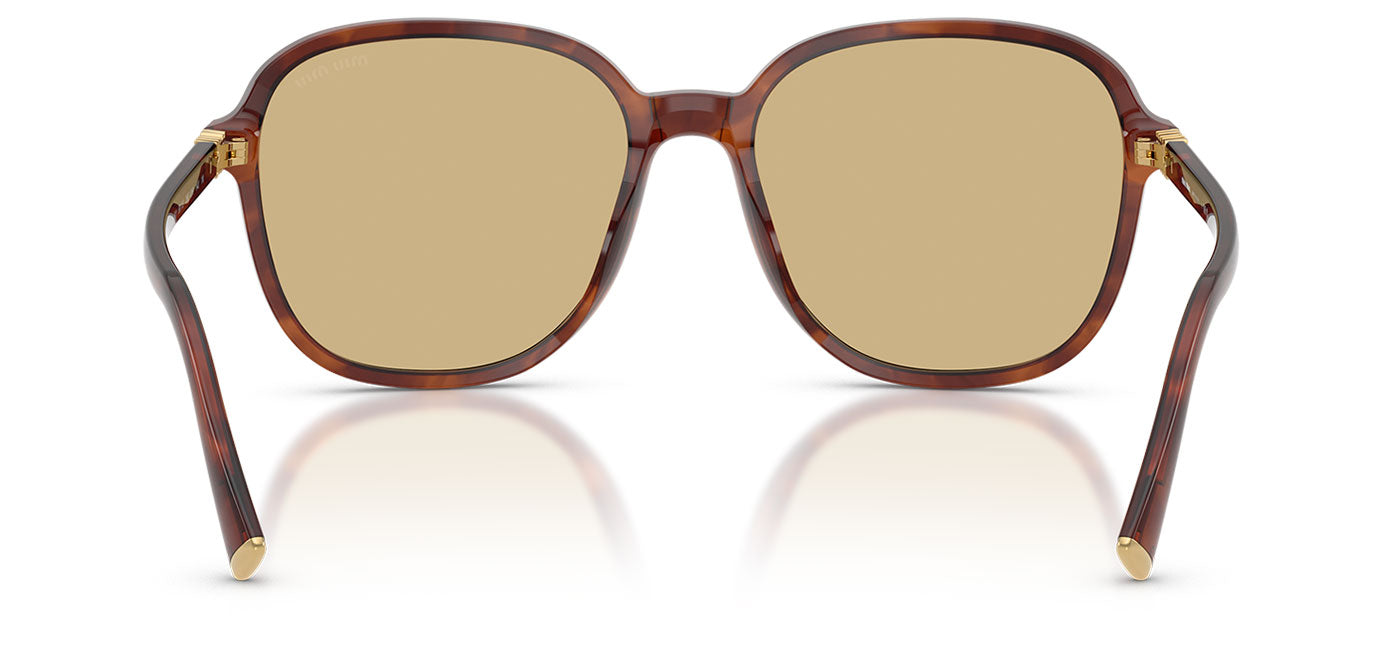 Miu Miu MU B01S Sunglasses - Striped Tobacco / Yellow