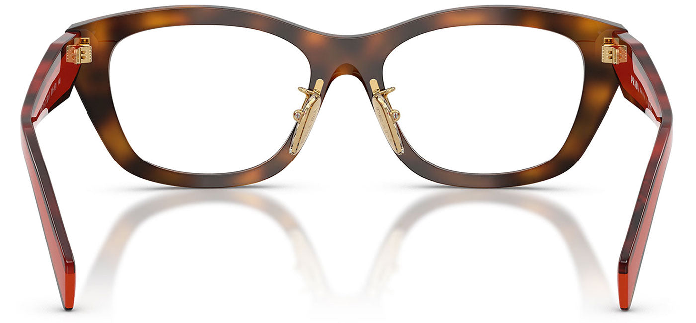 Prada PR D11VD Glasses - Juniper Havana