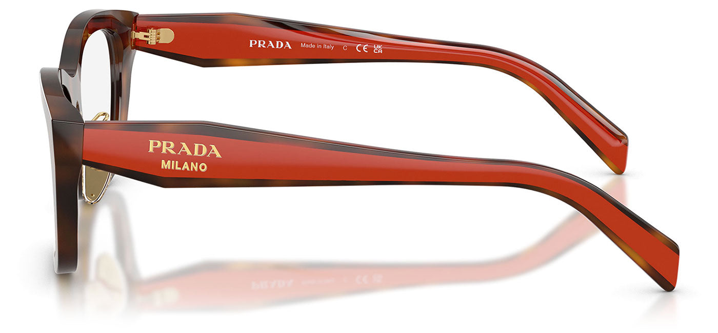 Prada PR D11VD Glasses - Juniper Havana