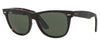 Ray-Ban RB2132 New Wayfarer Sunglasses - Tortoise / Green