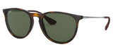 Ray-Ban RB4171 Erika Sunglasses - Light Havana / Green