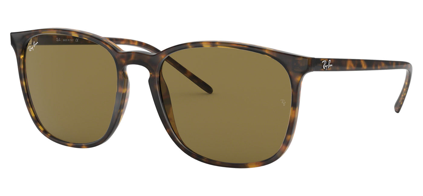 Ray-Ban RB4387 Sunglasses - Havana / Brown