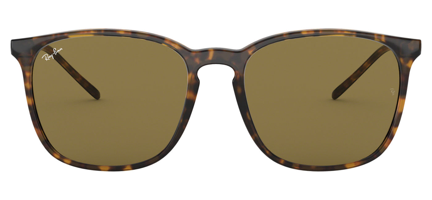 Ray-Ban RB4387 Sunglasses - Havana / Brown