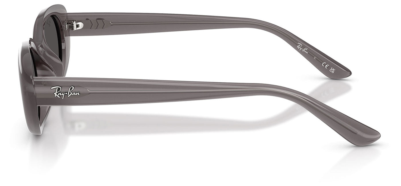 Ray-Ban RB4441D Sunglasses - Transparent Dark Grey / Dark Grey