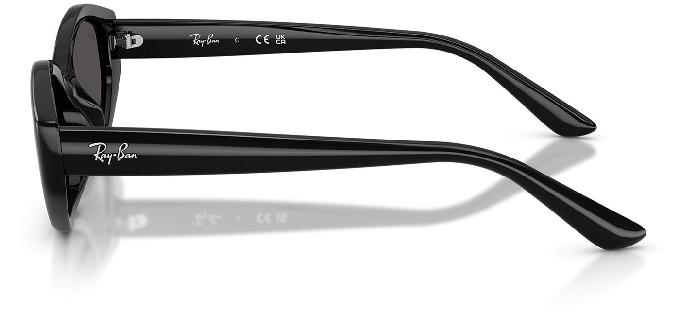 Ray-Ban RB4473D Sunglasses - Black / Dark Grey