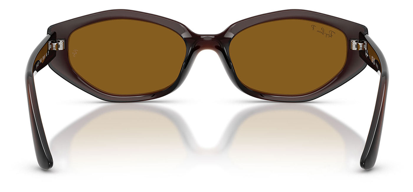 Ray-Ban RB4473D Sunglasses - Dark Brown / Dark Brown Polarised
