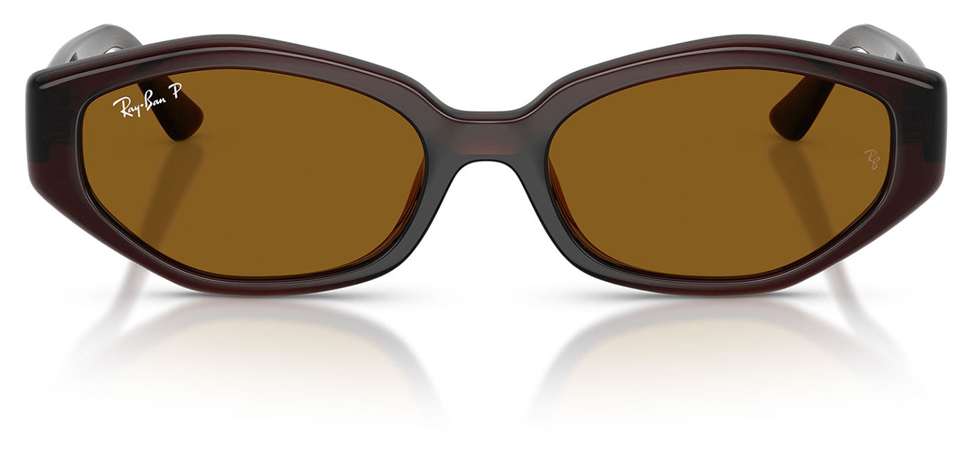 Ray-Ban RB4473D Sunglasses - Dark Brown / Dark Brown Polarised