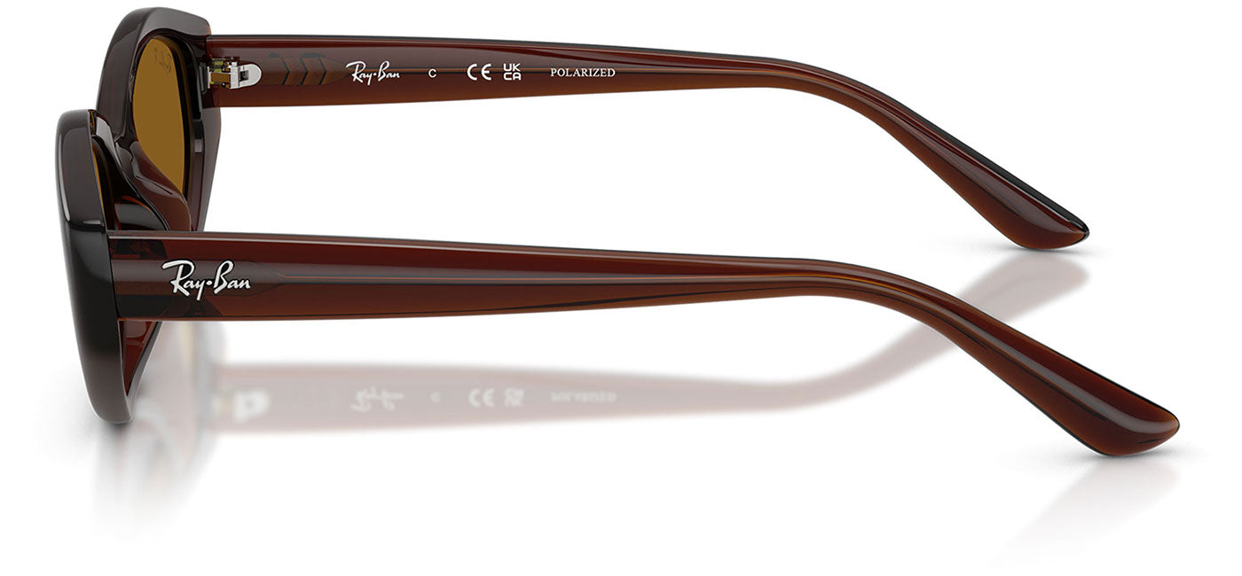 Ray-Ban RB4473D Sunglasses - Dark Brown / Dark Brown Polarised