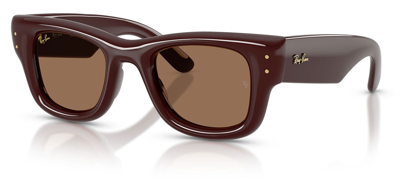 Ray-Ban RB4940 Wayfarer Puffer Sunglasses - Dark Brown / Dark Brown