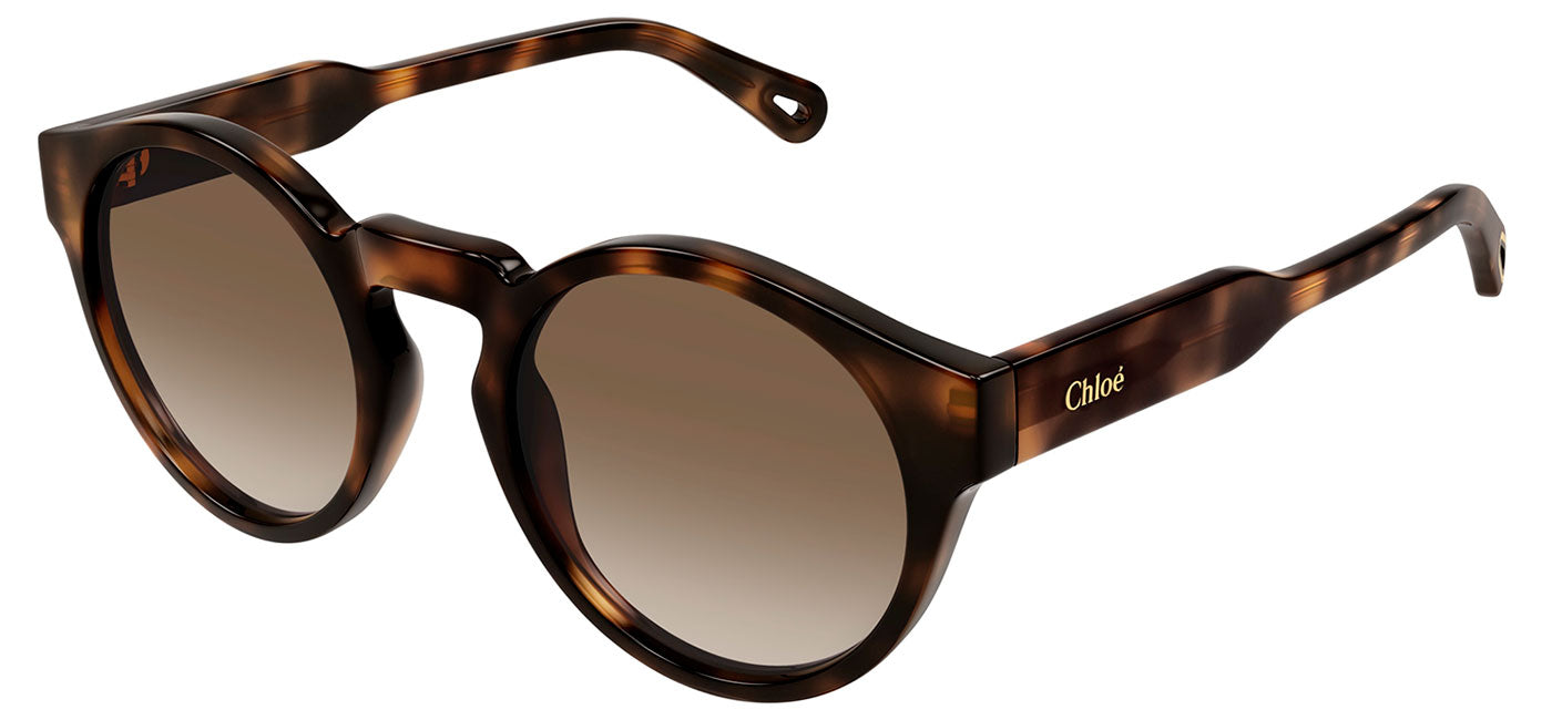 Chloe CH0158S Sunglasses - Havana / Brown Gradient