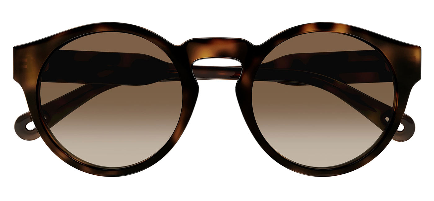 Chloe CH0158S Sunglasses - Havana / Brown Gradient