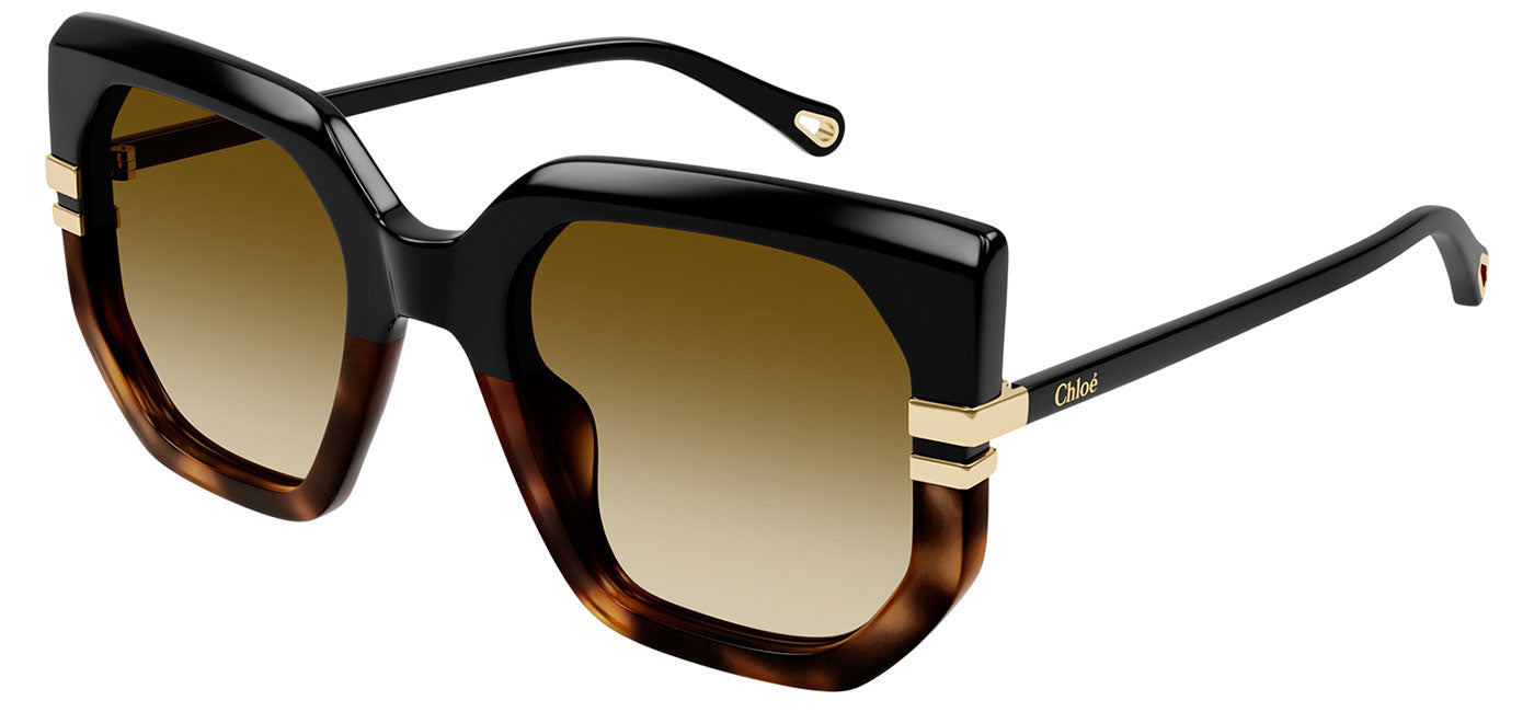 Chloe CH0240S Sunglasses - Black / Brown Gradient