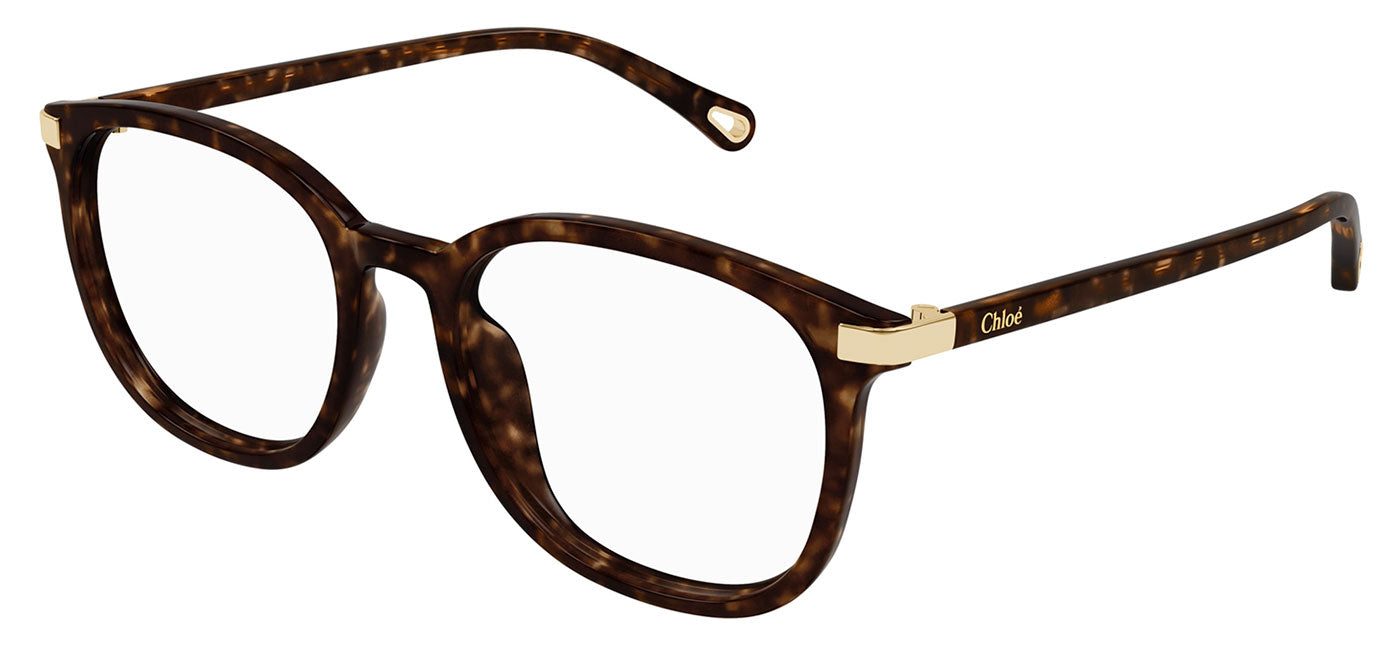 Chloe CH0247OA Glasses - Havana