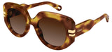 Chloe CH0257S Sunglasses - Havana / Brown