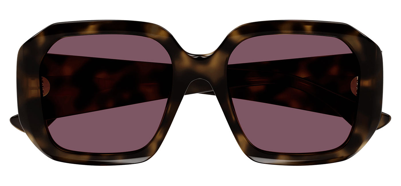 Chloe CH0300S Sunglasses - Havana / Violet