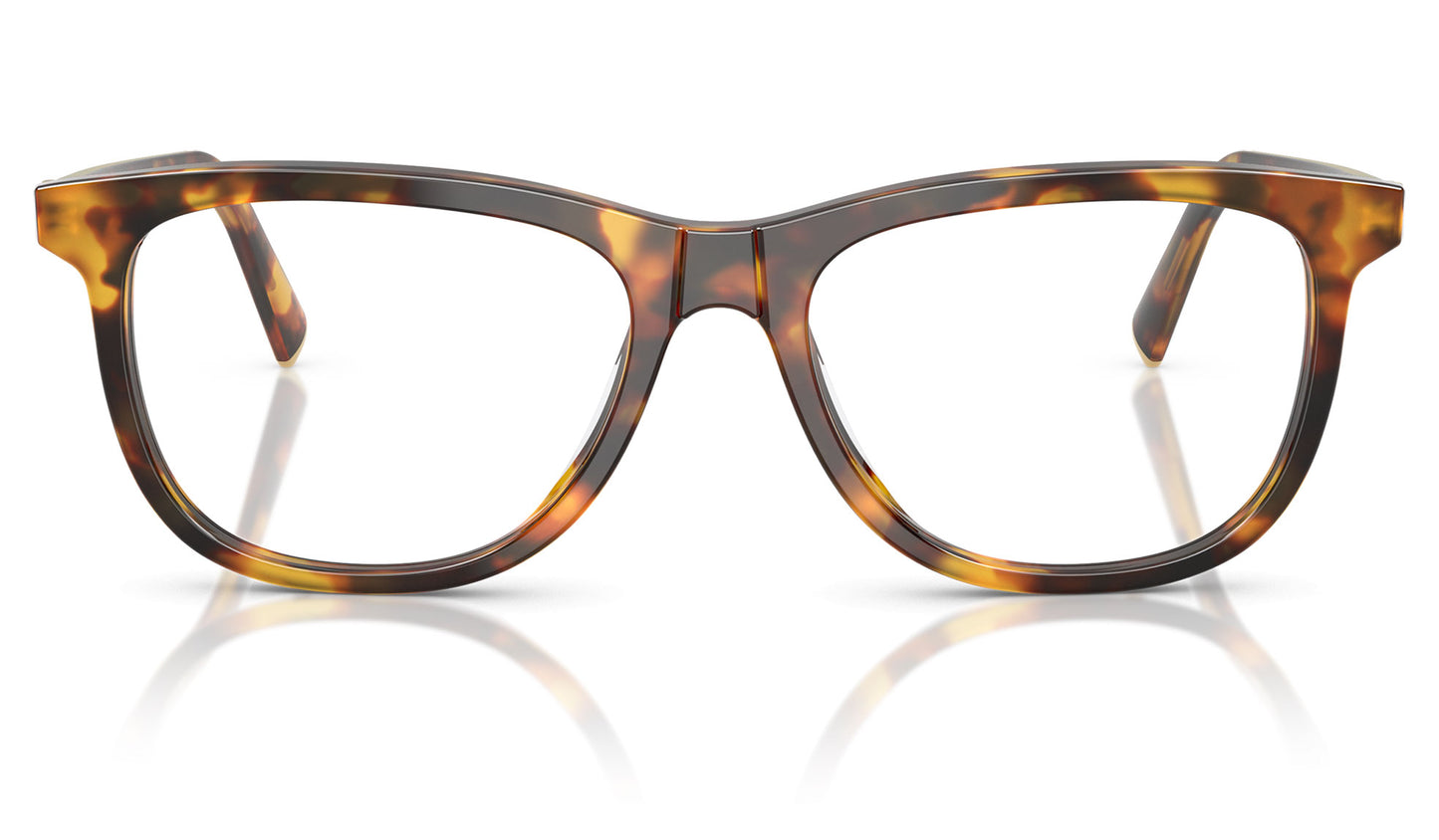 Miu Miu MU 01WV Glasses - Honey Havana