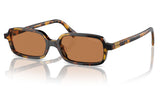 Miu Miu MU 11ZS Sunglasses - Honey Havana / Brown