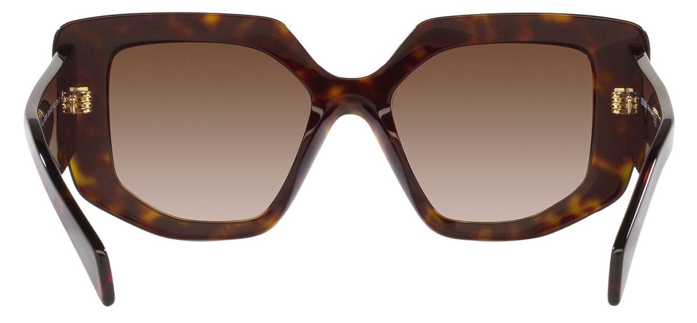 Prada PR 14ZS Sunglasses - Tortoise / Brown Gradient