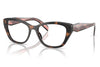 Prada PR 19WV Glasses - Mauve Tortoise
