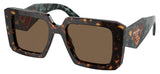 Prada PR 23YS Sunglasses - Tortoise / Dark Brown