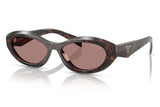 Prada PR 26ZS Sunglasses - Root Tortoise / Light Brown