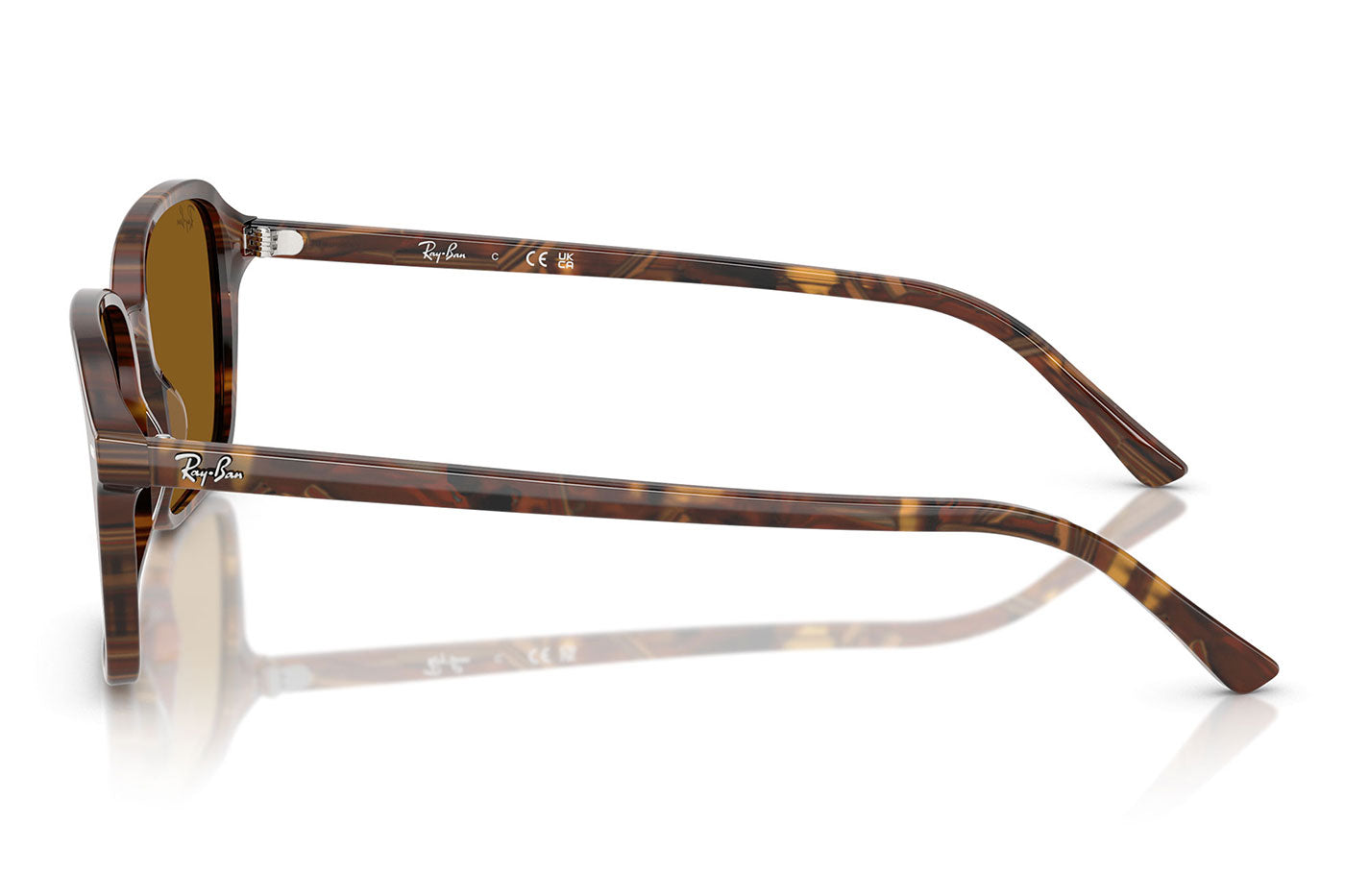 Ray-Ban RB2231 Raimond Sunglasses - Transparent Fantasy Brown / Brown