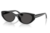 Ray-Ban RB4457D Sunglasses - Black / Dark Grey