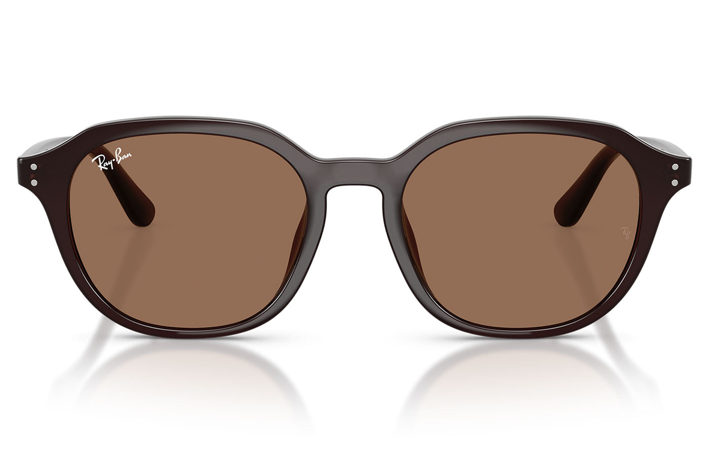 Ray-Ban RB4459D Sunglasses - Opal Brown / Dark Brown