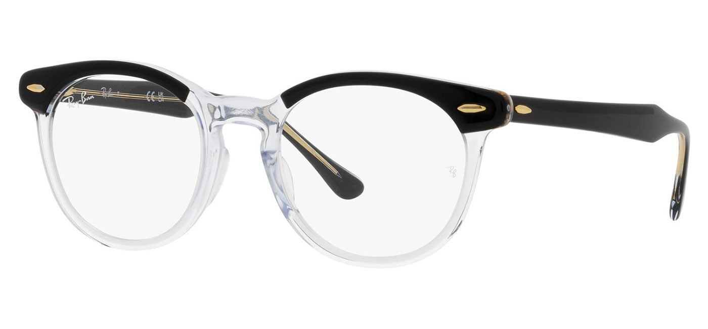 Ray-Ban RX5598 Eagle Eye Glasses - Polished Black on Transparent