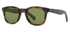 Garrett Leight Kinney II Sunglasses - Spotted Brown Shell / Semi-Flat Pure Green Polar
