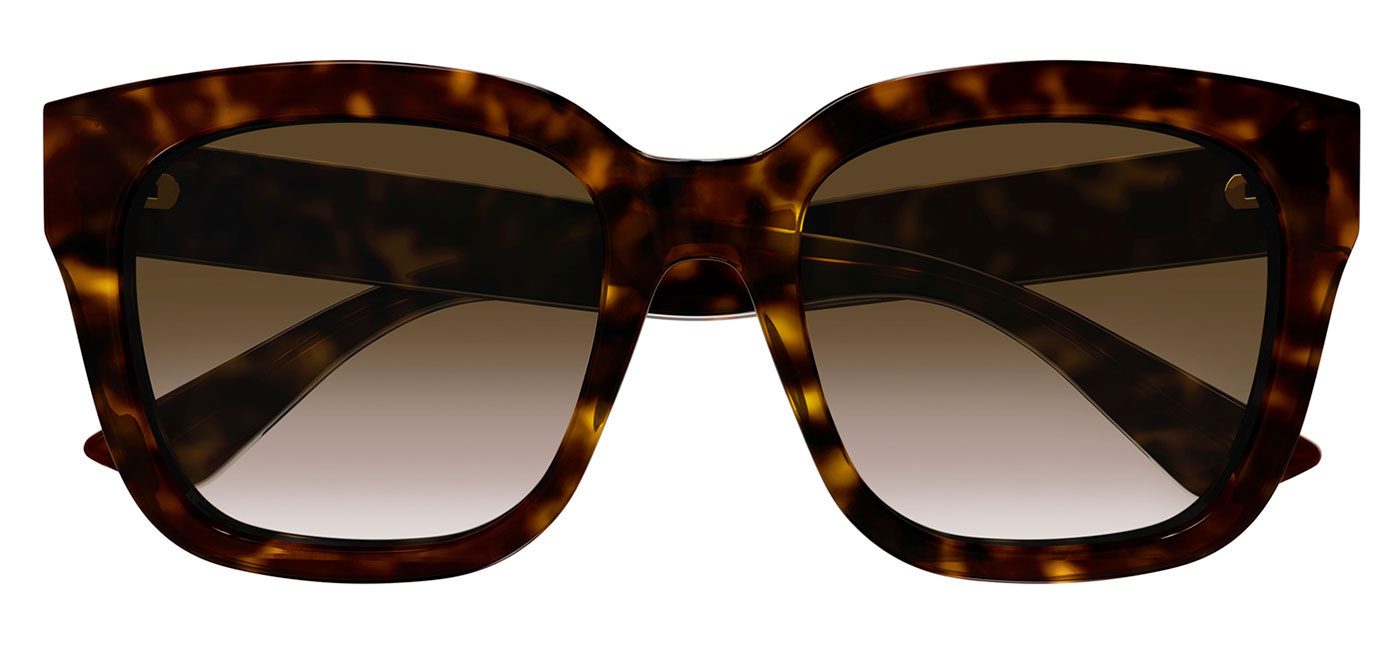 GG1338S-003-Product2