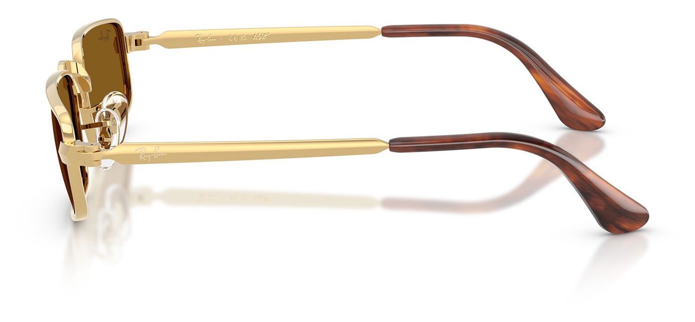 RB3927-001_33-P21-shad-lt